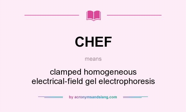 What does CHEF mean? It stands for clamped homogeneous electrical-field gel electrophoresis