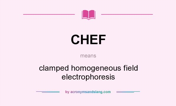 What does CHEF mean? It stands for clamped homogeneous field electrophoresis