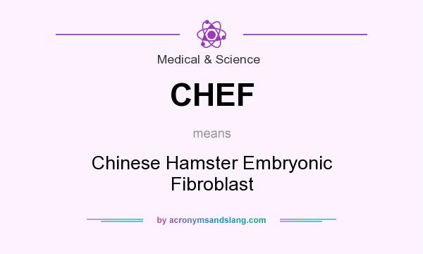 What does CHEF mean? It stands for Chinese Hamster Embryonic Fibroblast