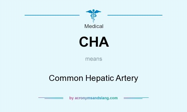 What does CHA mean? It stands for Common Hepatic Artery