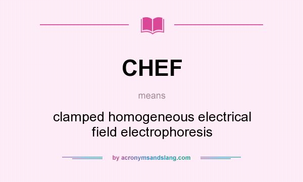 What does CHEF mean? It stands for clamped homogeneous electrical field electrophoresis