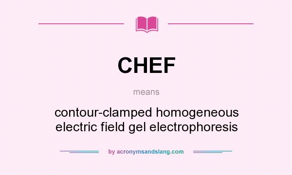 What does CHEF mean? It stands for contour-clamped homogeneous electric field gel electrophoresis