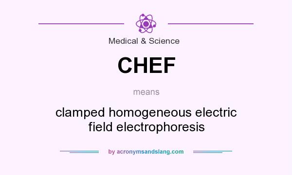 What does CHEF mean? It stands for clamped homogeneous electric field electrophoresis