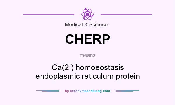 What does CHERP mean? It stands for Ca(2 ) homoeostasis endoplasmic reticulum protein