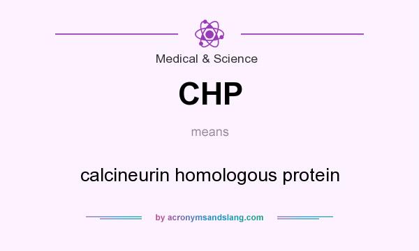 What does CHP mean? It stands for calcineurin homologous protein