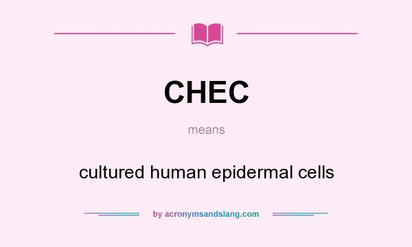 What does CHEC mean? It stands for cultured human epidermal cells