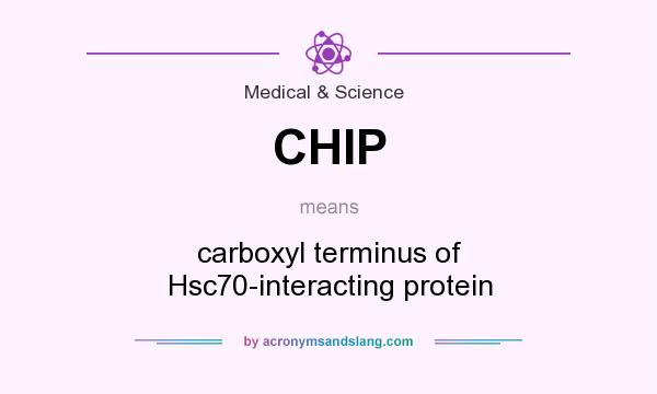 What does CHIP mean? It stands for carboxyl terminus of Hsc70-interacting protein