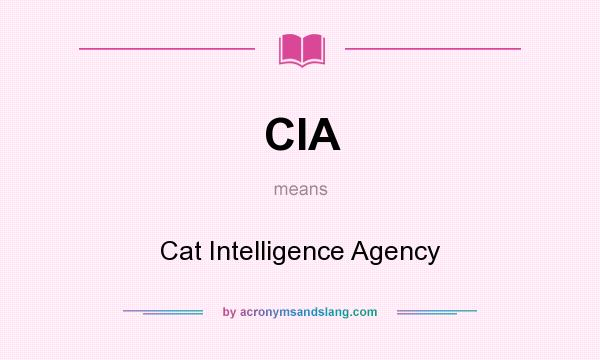What does CIA mean? It stands for Cat Intelligence Agency
