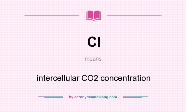 What does CI mean? It stands for intercellular CO2 concentration