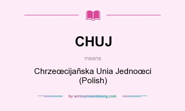What does CHUJ mean? It stands for Chrzeœcijañska Unia Jednoœci (Polish)