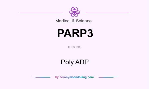 What does PARP3 mean? It stands for Poly ADP