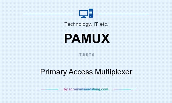 What does PAMUX mean? It stands for Primary Access Multiplexer