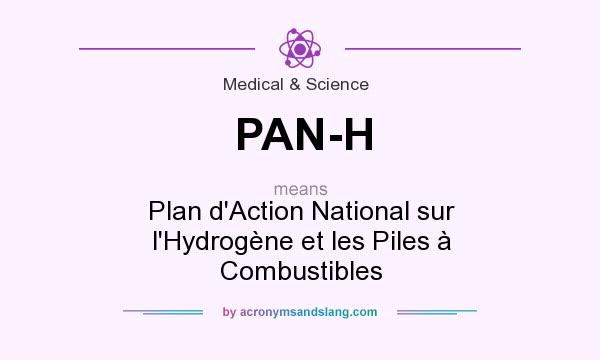 What does PAN-H mean? It stands for Plan d`Action National sur l`Hydrogène et les Piles à Combustibles