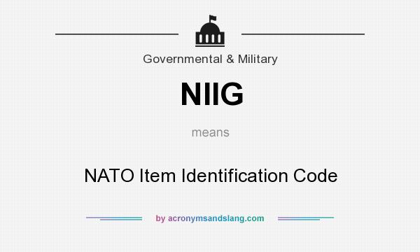 What does NIIG mean? It stands for NATO Item Identification Code