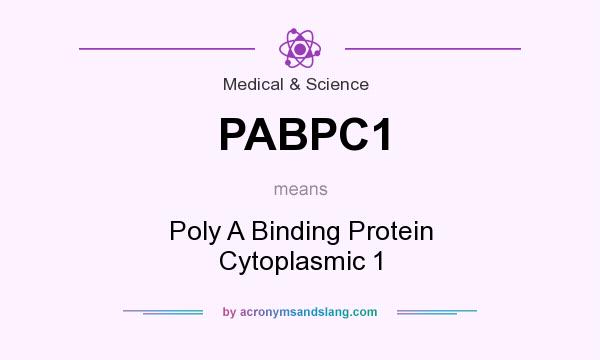 What does PABPC1 mean? It stands for Poly A Binding Protein Cytoplasmic 1
