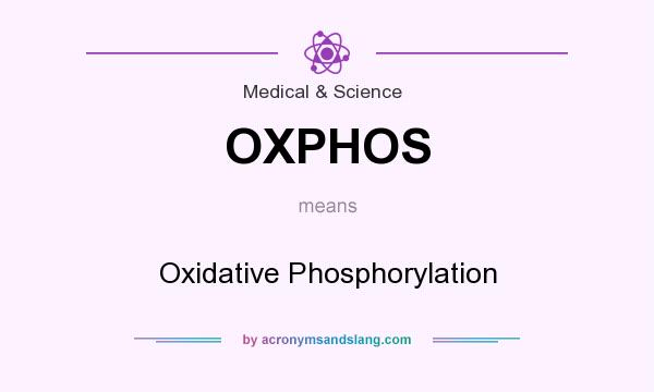 What does OXPHOS mean? It stands for Oxidative Phosphorylation