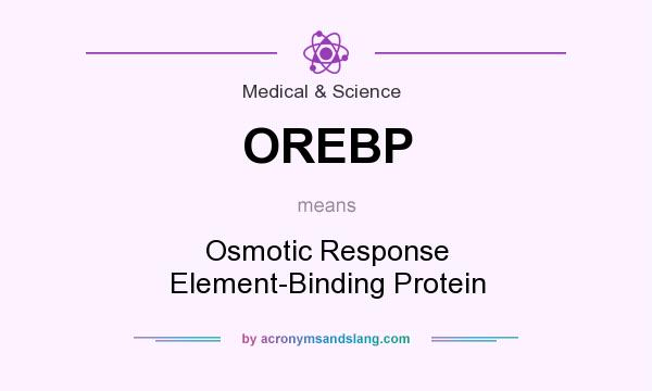 What does OREBP mean? It stands for Osmotic Response Element-Binding Protein