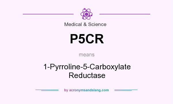 What does P5CR mean? It stands for 1-Pyrroline-5-Carboxylate Reductase