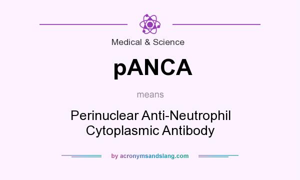 What does pANCA mean? It stands for Perinuclear Anti-Neutrophil Cytoplasmic Antibody