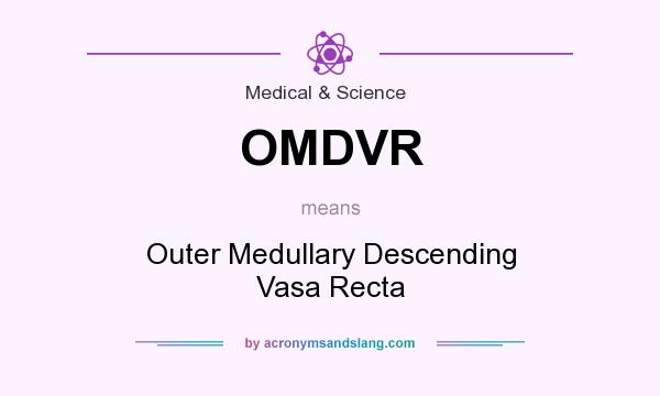 What does OMDVR mean? It stands for Outer Medullary Descending Vasa Recta