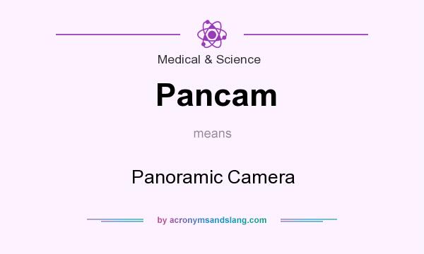 What does Pancam mean? It stands for Panoramic Camera