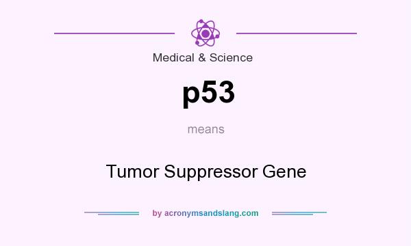 What does p53 mean? It stands for Tumor Suppressor Gene