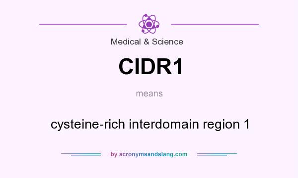 What does CIDR1 mean? It stands for cysteine-rich interdomain region 1