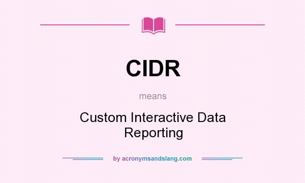What does CIDR mean? It stands for Custom Interactive Data Reporting