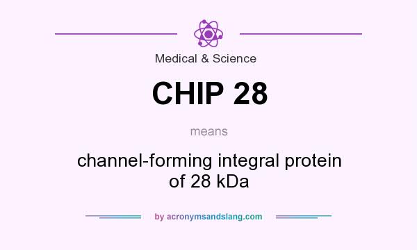 What does CHIP 28 mean? It stands for channel-forming integral protein of 28 kDa