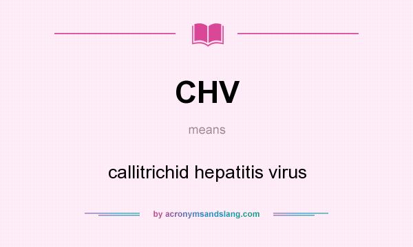 What does CHV mean? It stands for callitrichid hepatitis virus
