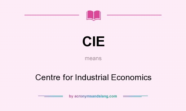 What does CIE mean? It stands for Centre for Industrial Economics