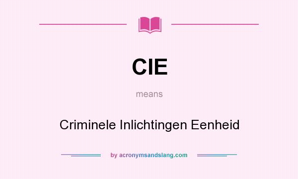 What does CIE mean? It stands for Criminele Inlichtingen Eenheid