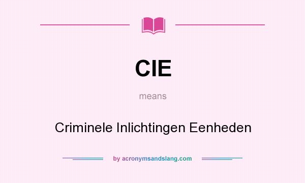 What does CIE mean? It stands for Criminele Inlichtingen Eenheden