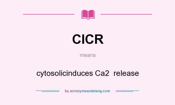 What does CICR mean? It stands for cytosolicinduces Ca2  release