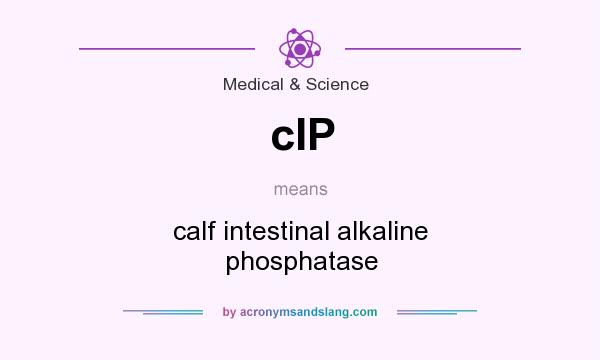 What does cIP mean? It stands for calf intestinal alkaline phosphatase