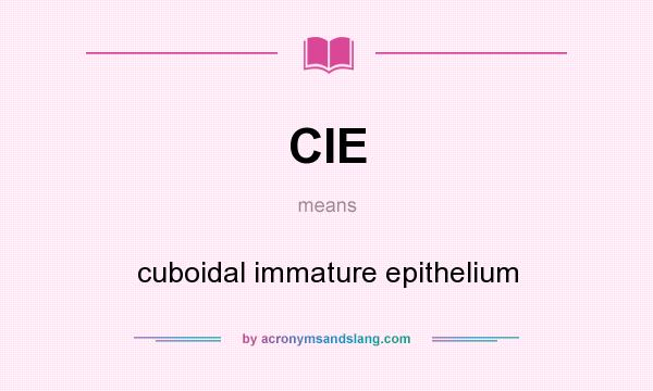 What does CIE mean? It stands for cuboidal immature epithelium