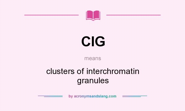 What does CIG mean? It stands for clusters of interchromatin granules