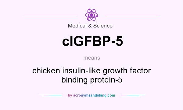 What does cIGFBP-5 mean? It stands for chicken insulin-like growth factor binding protein-5