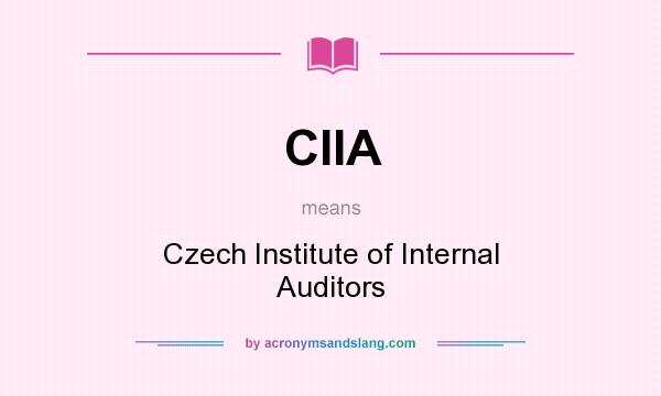 What does CIIA mean? It stands for Czech Institute of Internal Auditors