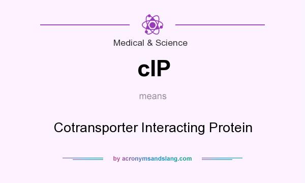 What does cIP mean? It stands for Cotransporter Interacting Protein