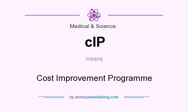 What does cIP mean? It stands for Cost Improvement Programme