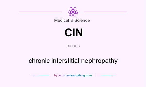 What does CIN mean? It stands for chronic interstitial nephropathy