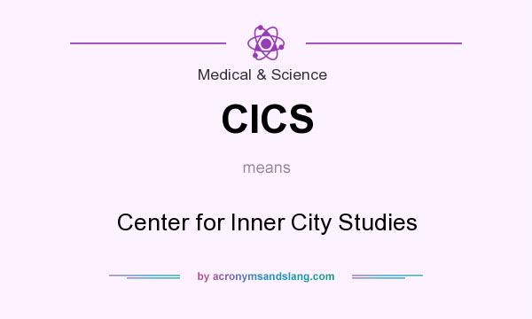 What does CICS mean? It stands for Center for Inner City Studies