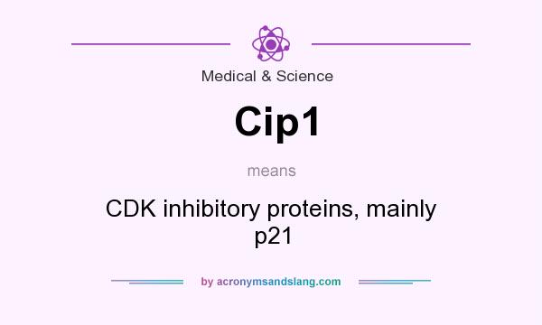 What does Cip1 mean? It stands for CDK inhibitory proteins, mainly p21