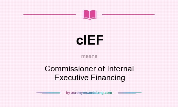 What does cIEF mean? It stands for Commissioner of Internal Executive Financing