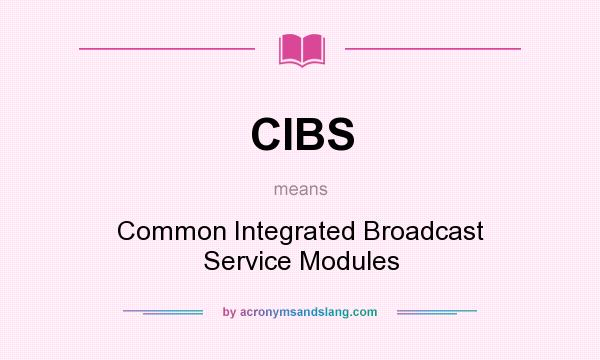 What does CIBS mean? It stands for Common Integrated Broadcast Service Modules