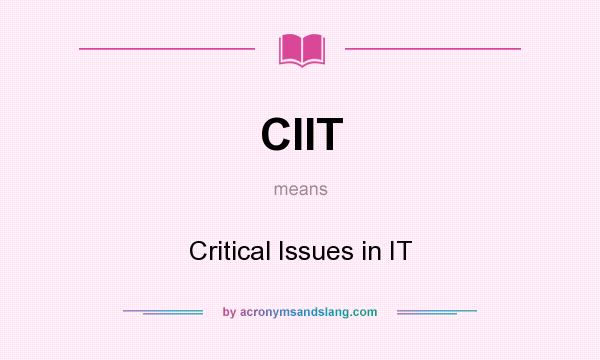 What does CIIT mean? It stands for Critical Issues in IT