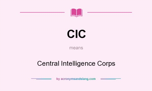 What does CIC mean? It stands for Central Intelligence Corps