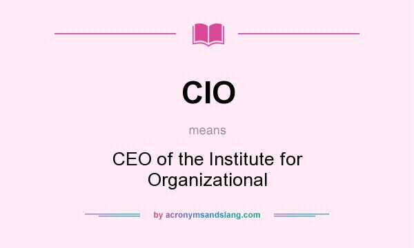 What does CIO mean? It stands for CEO of the Institute for Organizational