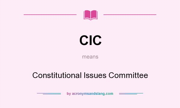 What does CIC mean? It stands for Constitutional Issues Committee